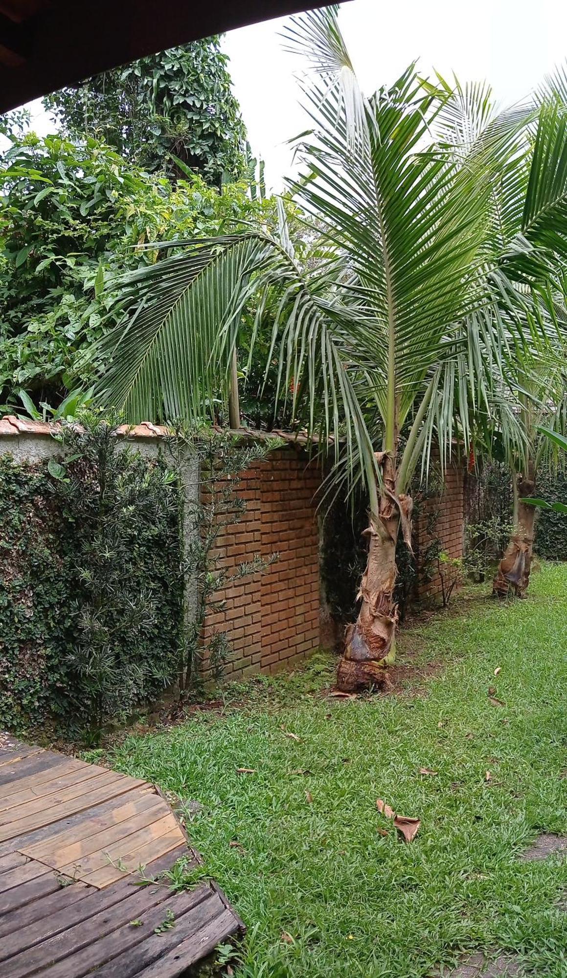 Casa Dos Coqueiros Praia De Camburi, Condominio Camburi  Buitenkant foto